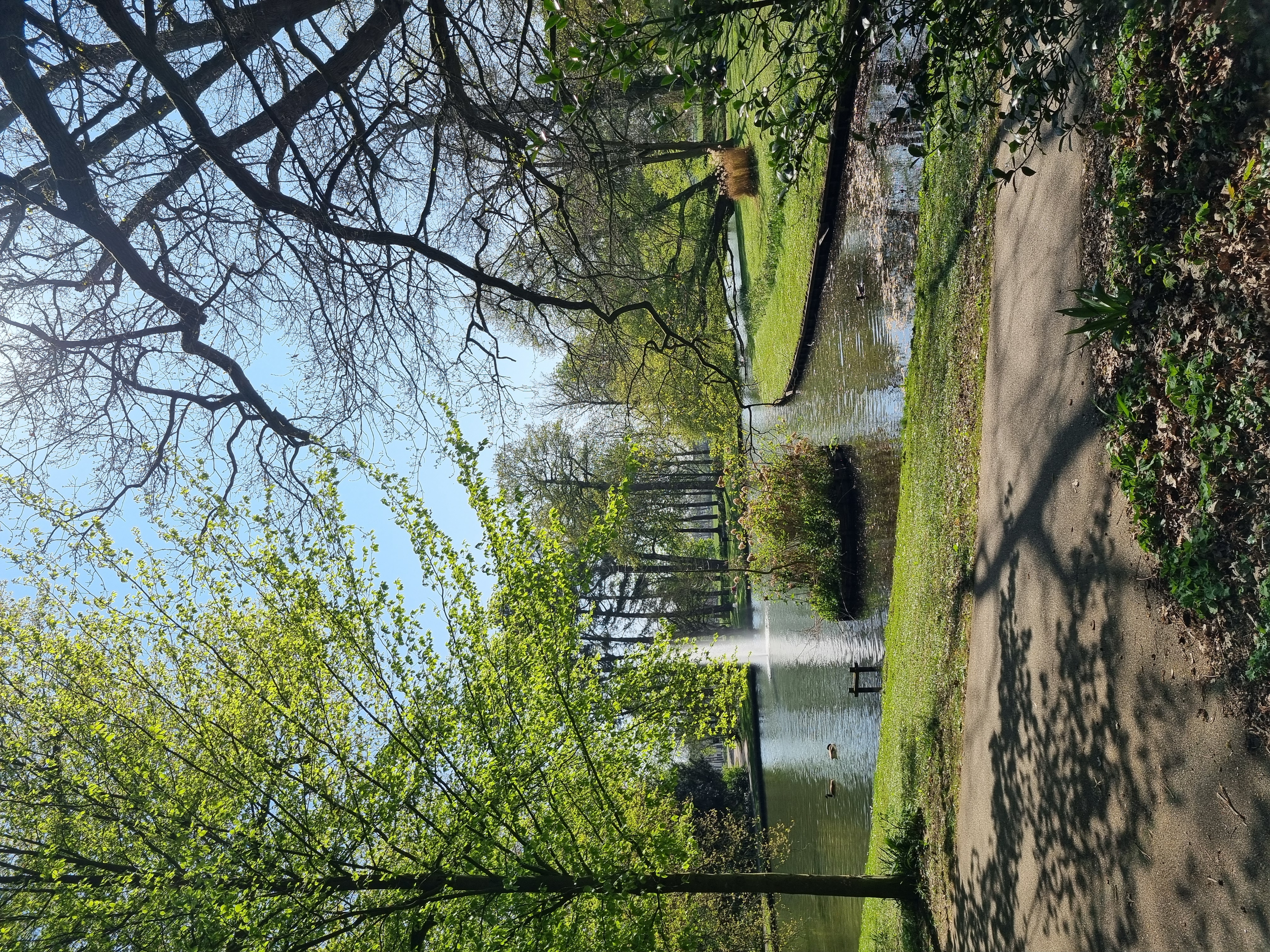 Culemborg 9